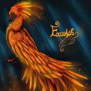 Meet your Posher, Mich